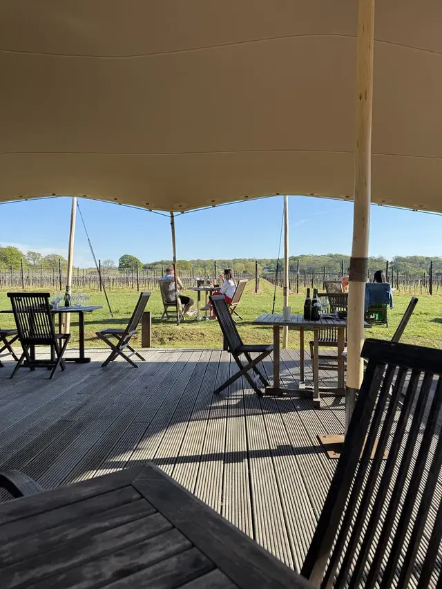 Balfour Winery (Hush Heath Estate) vineyard, Staplehurst/Tonbridge, Kent