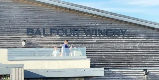 Balfour Winery (Hush Heath Estate) vineyard, Staplehurst/Tonbridge, Kent