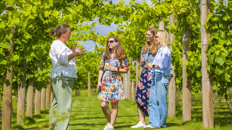 Brabourne Vineyard vineyard, East Brabourne, Kent