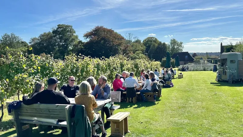 Brabourne Vineyard vineyard, East Brabourne, Kent