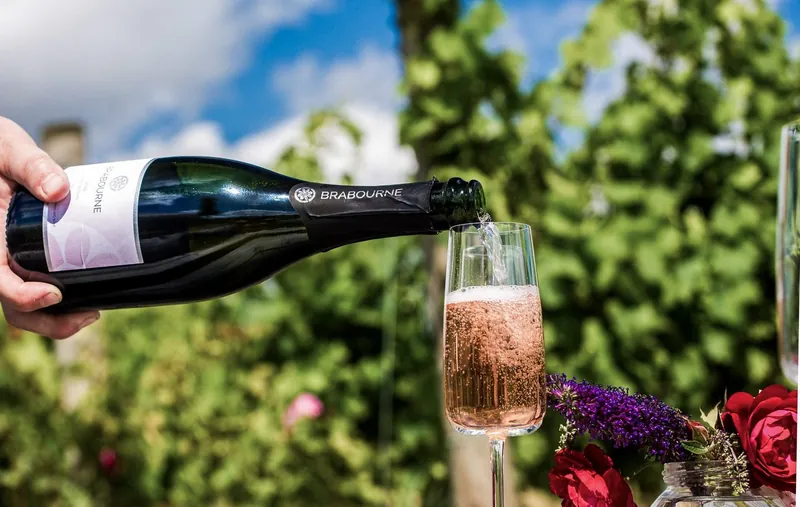 Brabourne Vineyard vineyard, East Brabourne, Kent