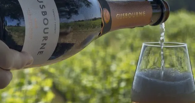 Gusbourne vineyard, Appledore, Kent